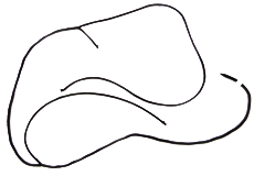 时代、微卡附件